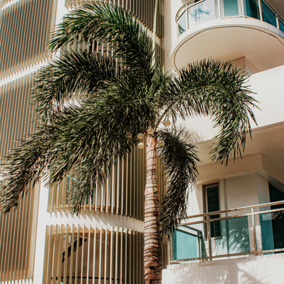 862D1534431dc46052e0351fcf2912d0ca17d541